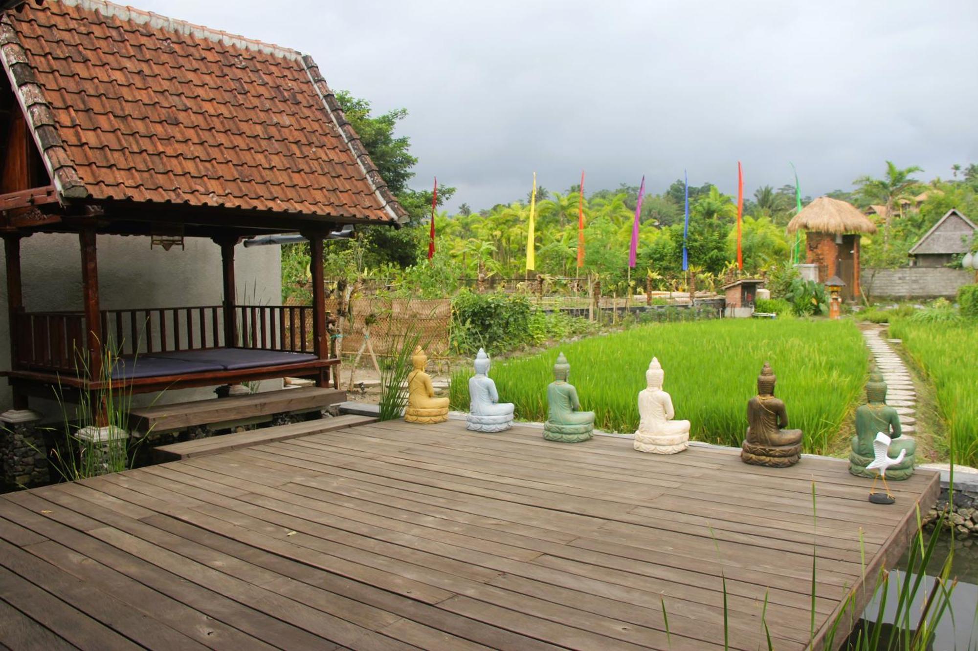 Anandinii River Lodge By Agata 希德门 外观 照片